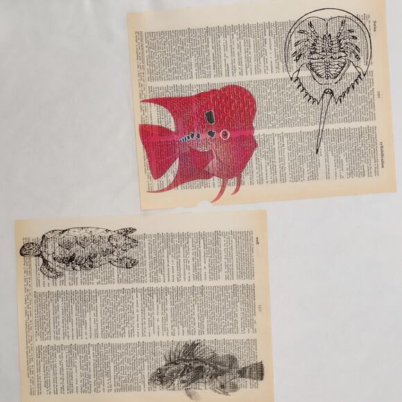 Sea Animal Dictionary Prints, Colorful Ocean Prints, Book Page Prints - Picture 4 of 6